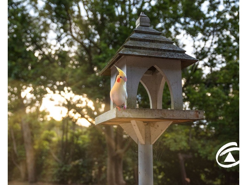 9 Lenne Street, Beaconsfield Upper VIC 3808