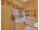 15 Wimmera Court, Berwick VIC 3806
