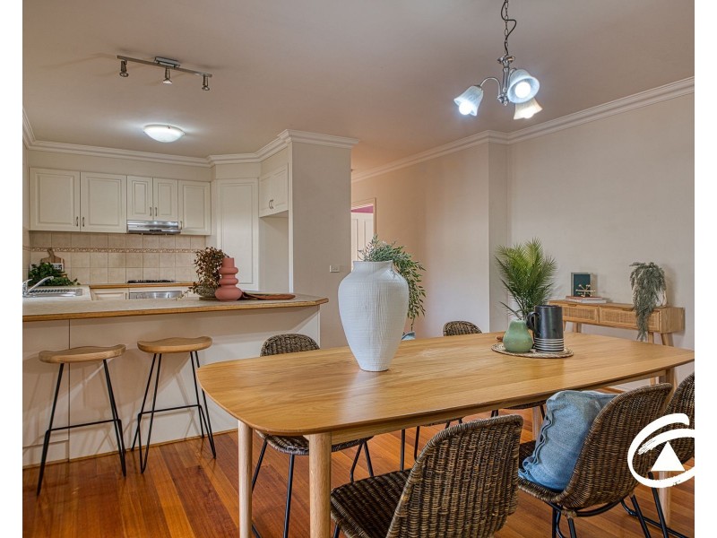 8 Carrick Place, Berwick VIC 3806