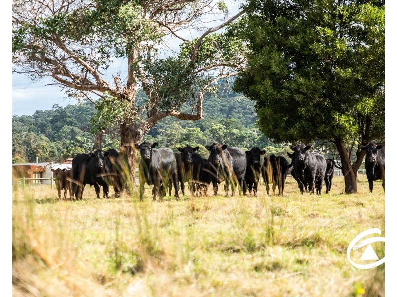 425 Toomuc Valley Road, Pakenham VIC 3810