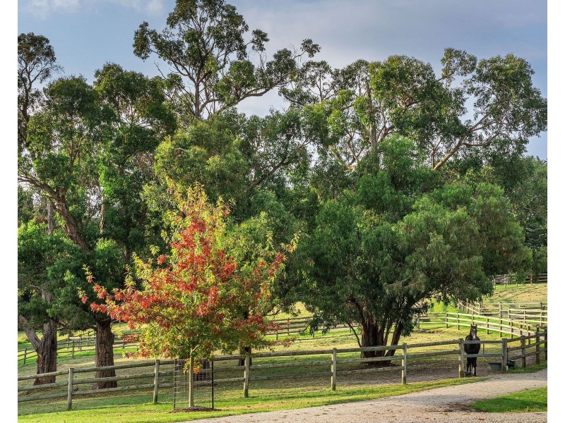 3 Hilden Drive, Harkaway VIC 3806