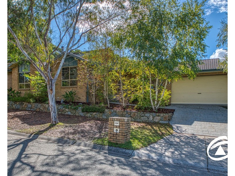 16 Wanderer Court, Berwick VIC 3806