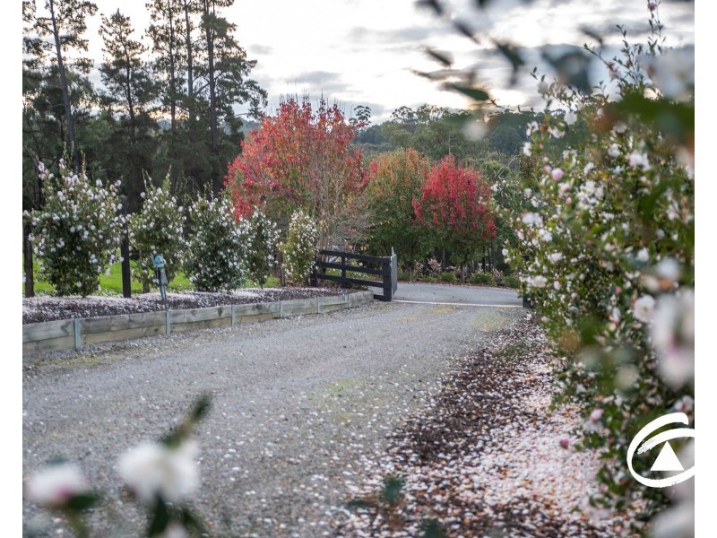 100 Old Gembrook Road, Pakenham Upper VIC 3810