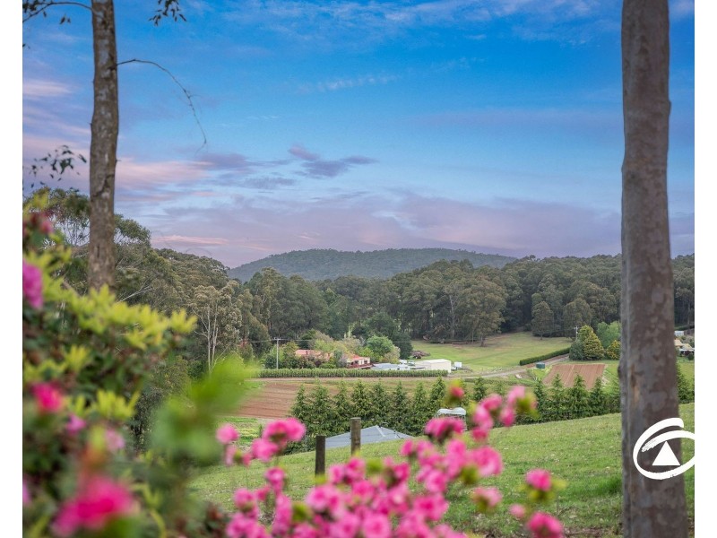 80 The Avenue, Gembrook VIC 3783