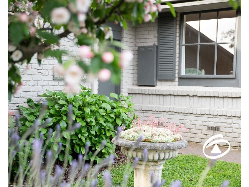 52 Patons Road, Macclesfield VIC 3782