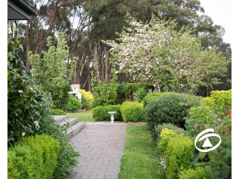 52 Patons Road, Macclesfield VIC 3782