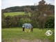 52 Patons Road, Macclesfield VIC 3782