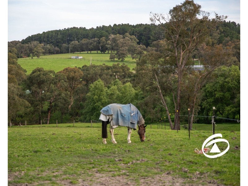 52 Patons Road, Macclesfield VIC 3782