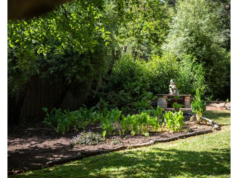 5 Seaview Road, Cockatoo VIC 3781