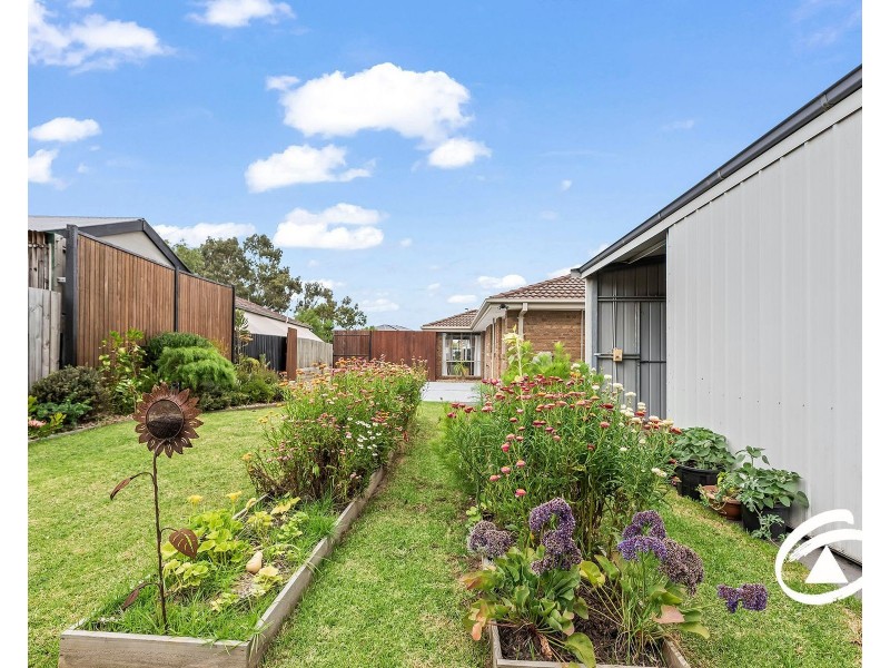 34 Tarcoola Drive, Narre Warren VIC 3805