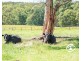 510 Macclesfield Road, Macclesfield VIC 3782