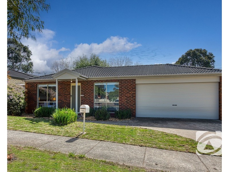 43 Tralee Circuit, Narre Warren VIC 3805