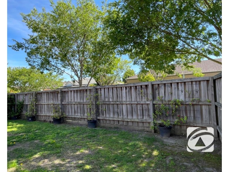 11 Dandelion Drive, Berwick VIC 3806