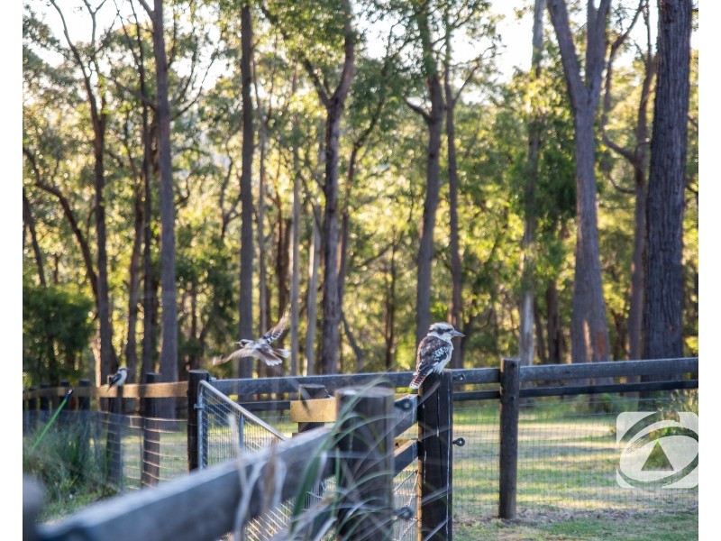 300 Gembrook-Tonimbuk Road, Gembrook VIC 3783