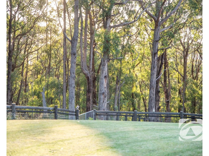 300 Gembrook-Tonimbuk Road, Gembrook VIC 3783