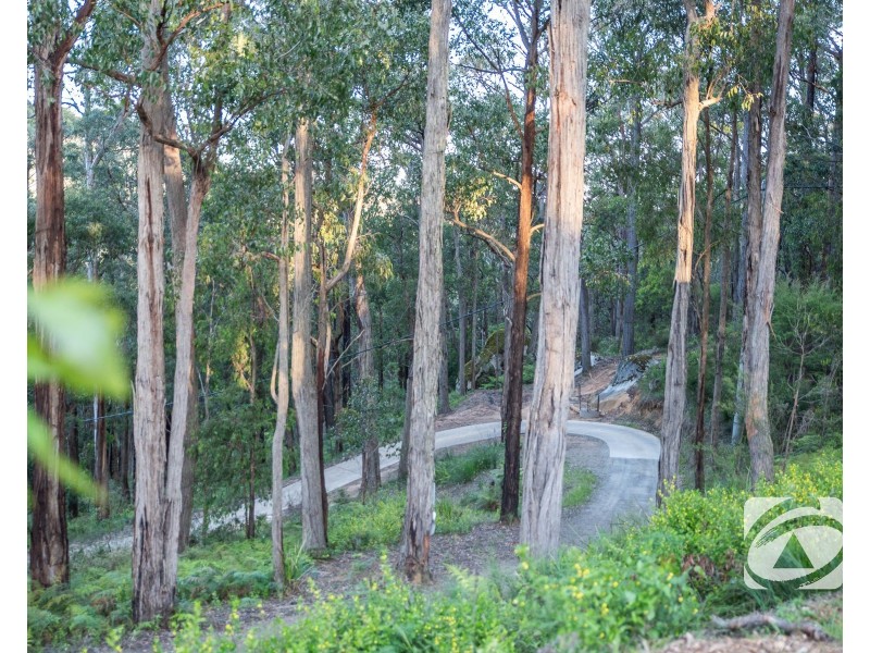 300 Gembrook-Tonimbuk Road, Gembrook VIC 3783
