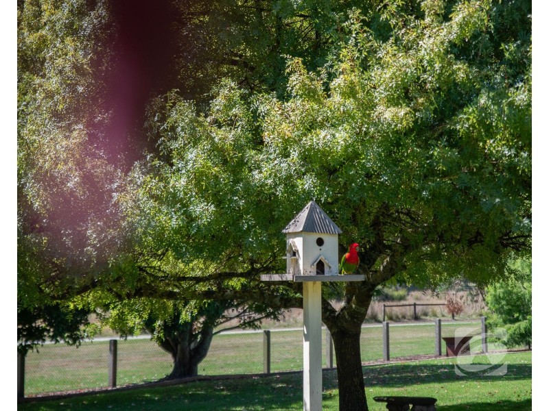 14 Valley Drive, Beaconsfield Upper VIC 3808