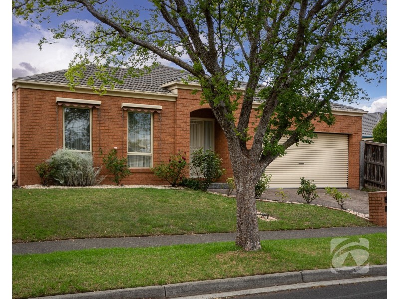3 Edgbaston Circuit, Berwick VIC 3806