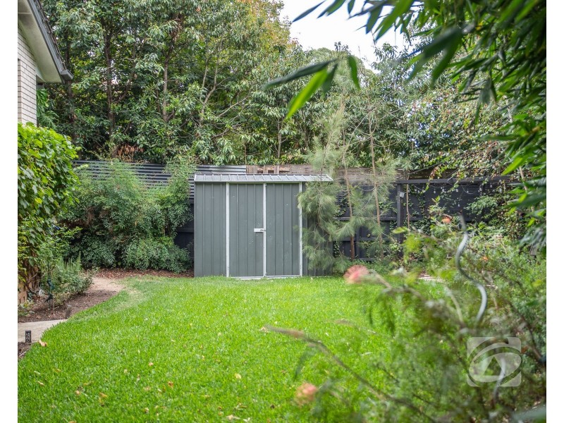 37 Lyall Road, Berwick VIC 3806