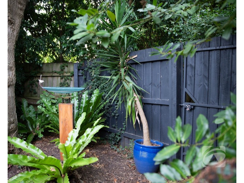 37 Lyall Road, Berwick VIC 3806