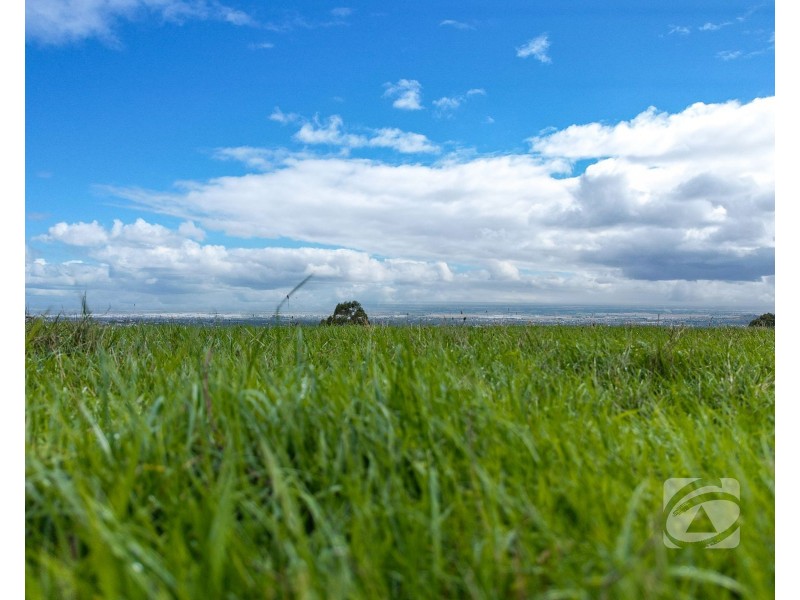 Lot 1/65 Mount Shamrock Road, Pakenham VIC 3810