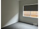 3 Shelley Street, Officer VIC 3809