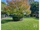 4 Arnott Place, Narre Warren North VIC 3804