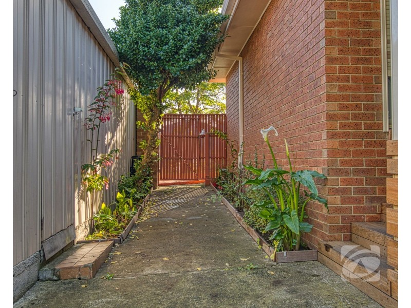 11 Edward Freeth Drive, Endeavour Hills VIC 3802