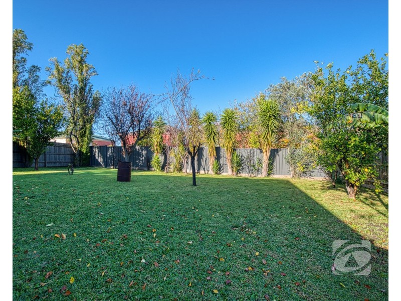 11 Edward Freeth Drive, Endeavour Hills VIC 3802