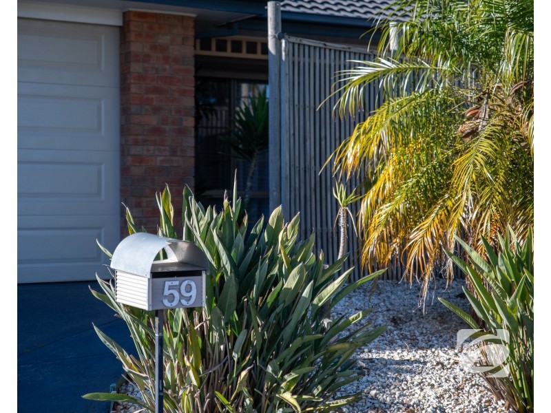 59 Protea Street, Carrum Downs VIC 3201