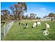 16 Latta Road, Nar Nar Goon VIC 3812