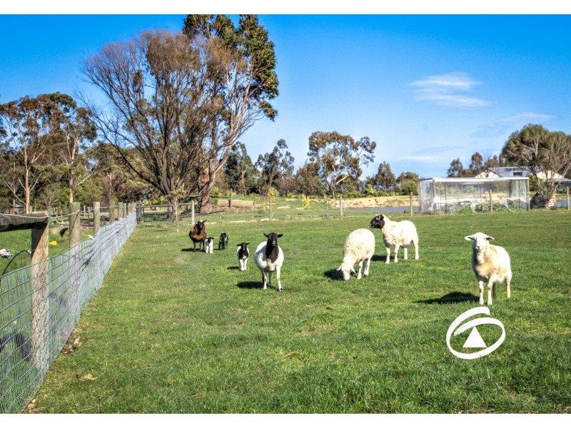 16 Latta Road, Nar Nar Goon VIC 3812