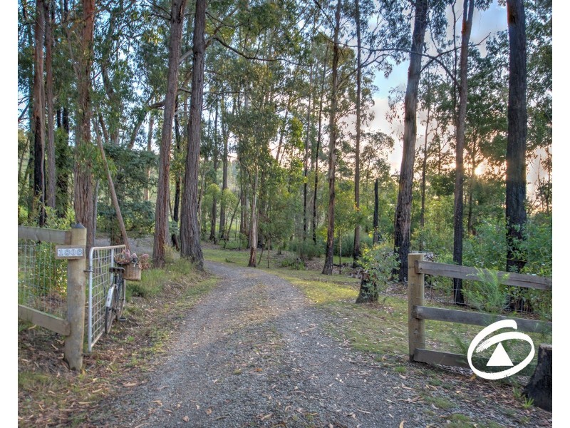 1808 Gembrook-Tonimbuk Road, Tonimbuk VIC 3815