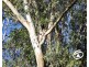 144 Weirs Road, Narracan VIC 3824