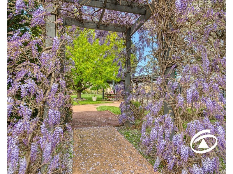 37/1 Malouf Court, Pakenham VIC 3810