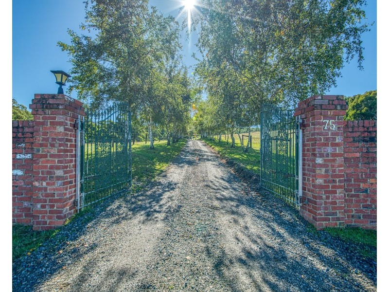 75 Old Sawmill Road, Gembrook VIC 3783