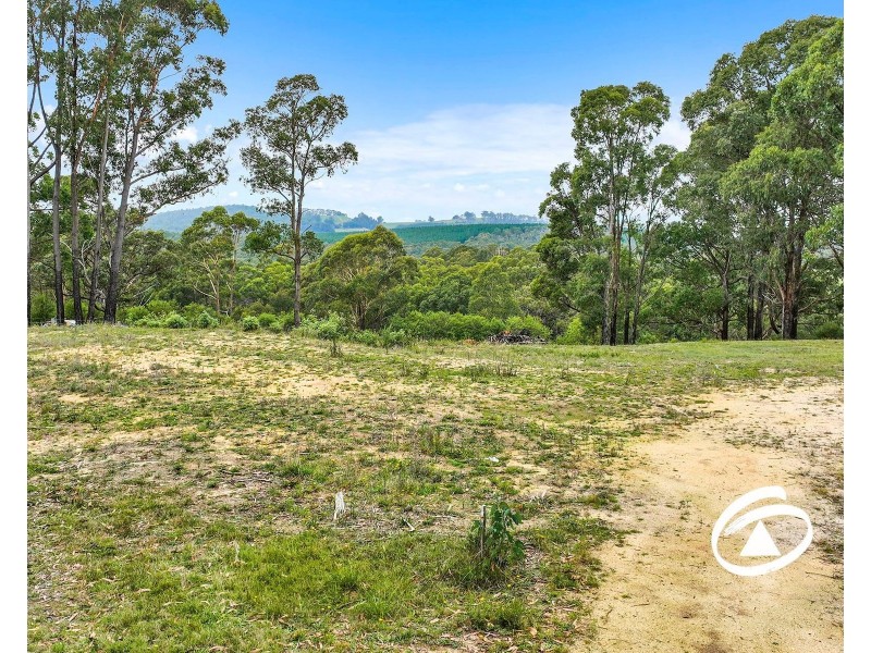 4B Gilfedder Terrace, Mirboo North VIC 3871