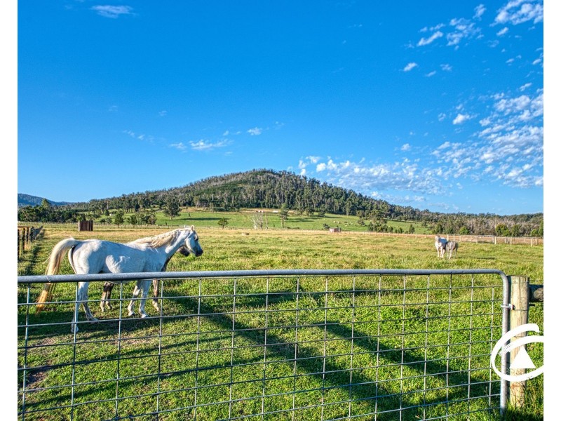 19 Bassed Road, Garfield North VIC 3814