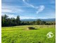 50 Topp Road, Tonimbuk VIC 3815
