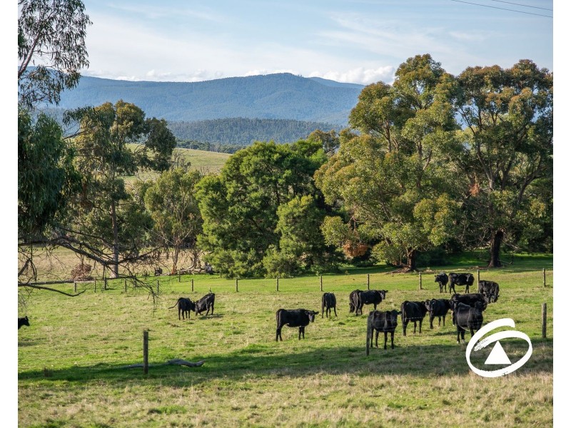 50 Topp Road, Tonimbuk VIC 3815