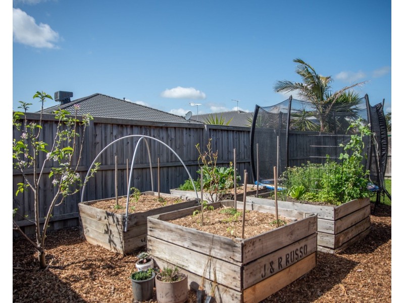 21 Brooklyn Street, Officer VIC 3809