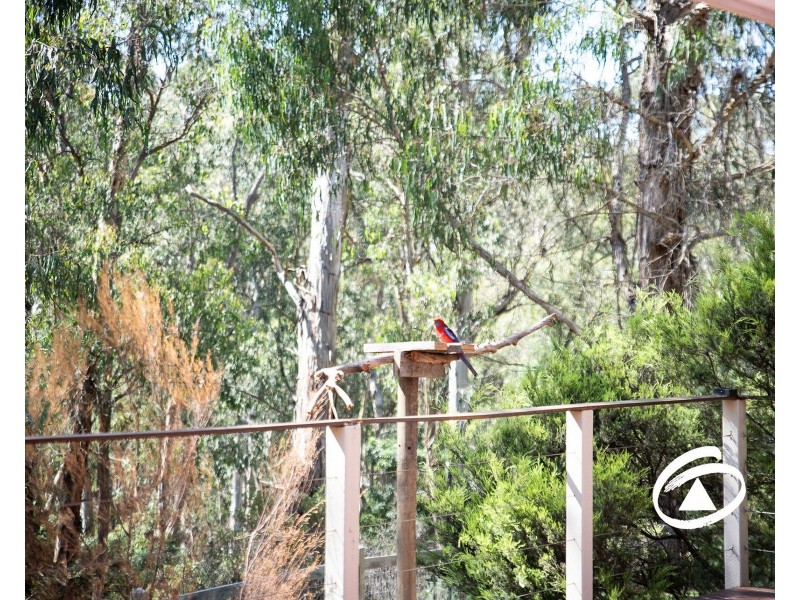 565 Pakenham Road, Pakenham Upper VIC 3810