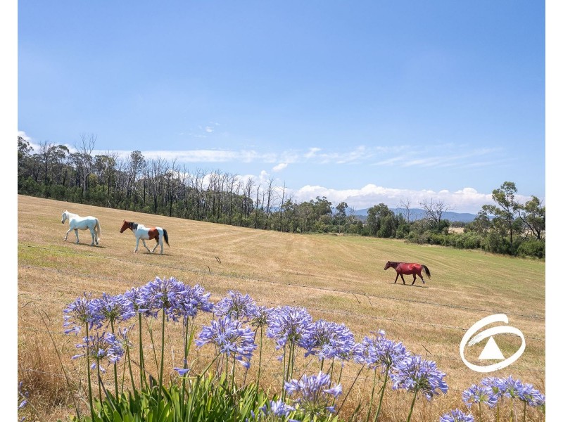235 Tonimbuk Road, Bunyip North VIC 3815