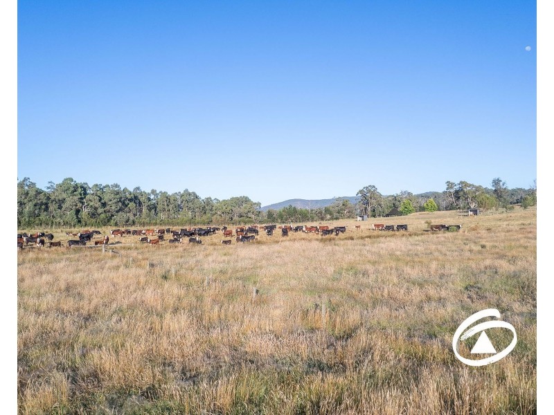 35 Ellis Road, Tonimbuk VIC 3815