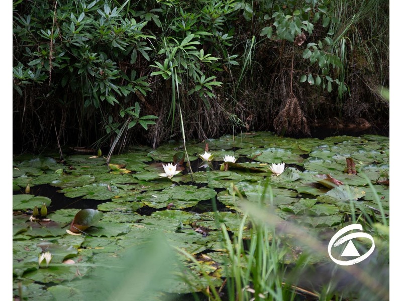 944 Pakenham Road, Pakenham Upper VIC 3810