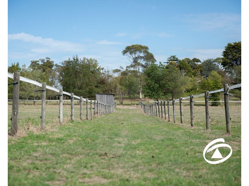 24 Larmour Road, Pakenham VIC 3810