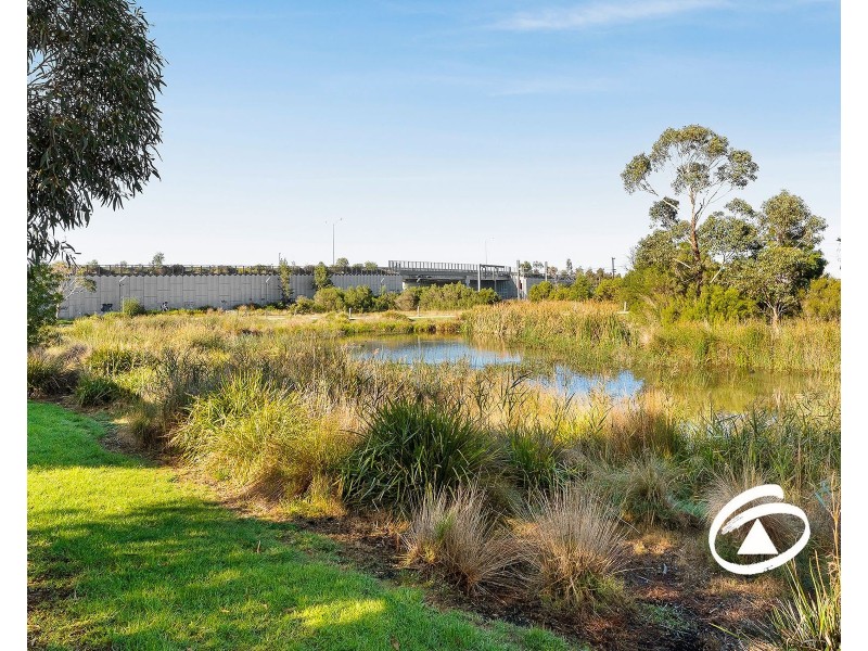 30 Rush Lily Drive, Officer VIC 3809