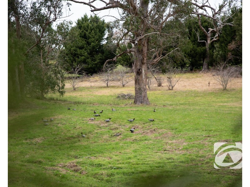 835 Gembrook Road, Pakenham Upper VIC 3810