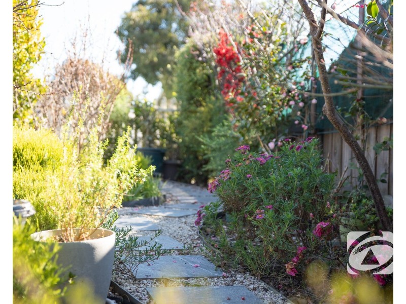 34 Parman Avenue, Pakenham VIC 3810