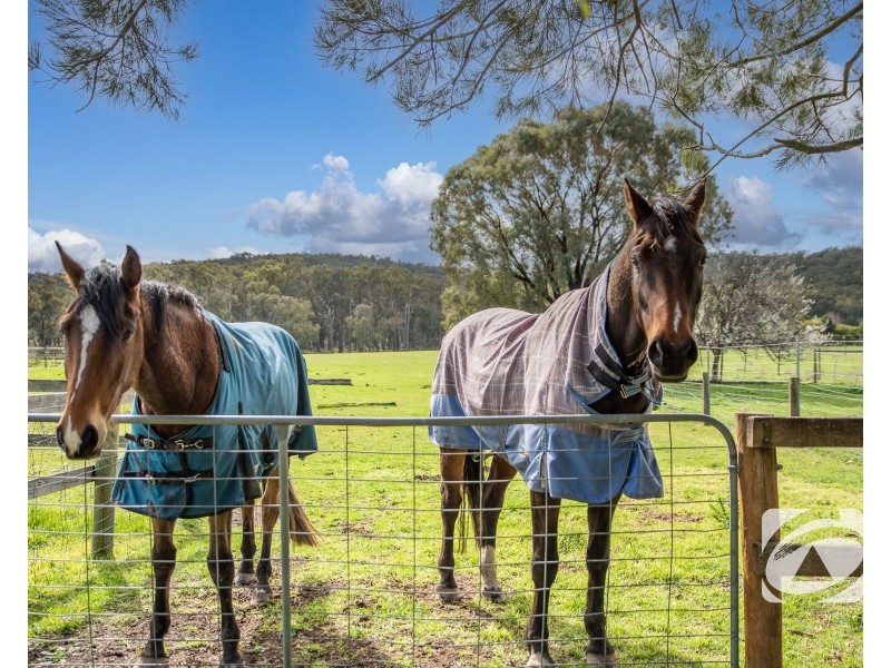 240 Brown Road, Pakenham VIC 3810